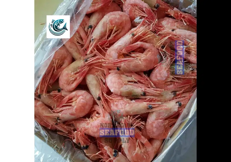 Norwegian Shrimp Explained: Varieties, Harvesting, and Recipes