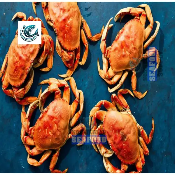 Frozen Live Dungeness Crabs Crab Legs